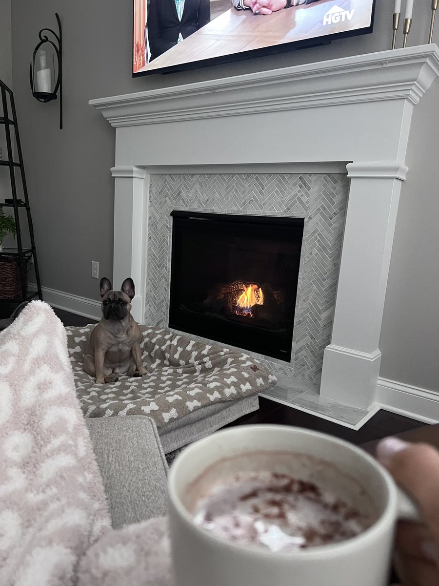 miriammakruski's tweet photo. Cozy time ❄️🔥☕️🐾 💤 #springtimeinohio https://t.co/rq7kSjFrT8