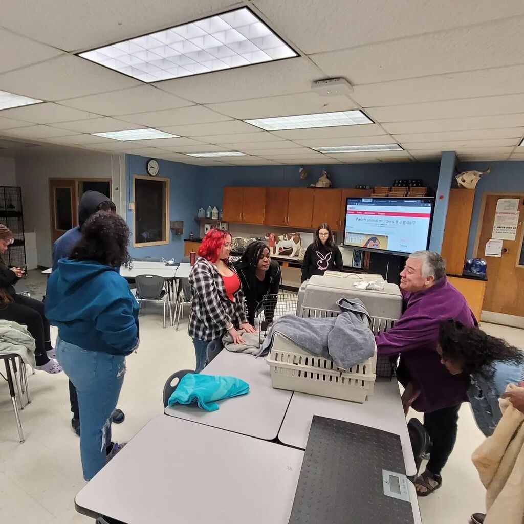 kentuckianabf's tweet image. I think Central High Vet Tech program will be graduating some of the finest in the area. Who is teaching techs better than @emclem29 😤🫡💉#kentuckianabackyardfarms #vettech #vettechstudent #centralhighschool instagr.am/p/CrJ9QZ0Mfqa/