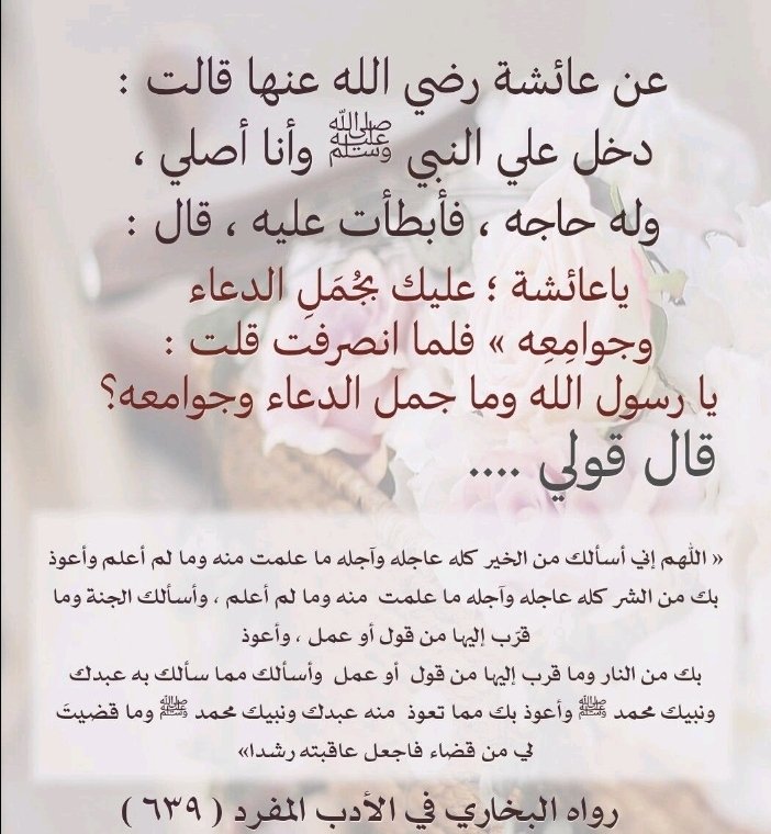 AichaA88h's tweet photo. https://t.co/zBpeSLCgj7