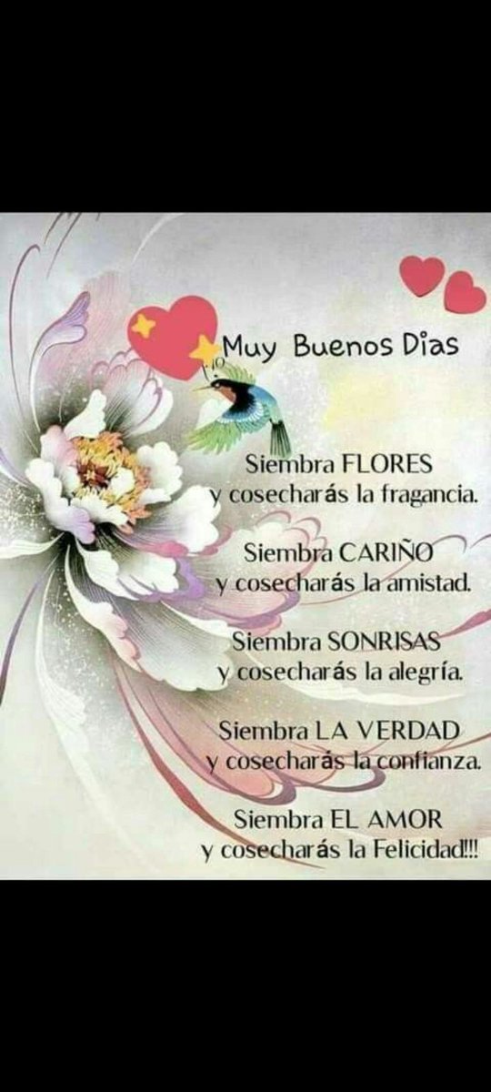 HAY QUE SEMBRAR PARA PODER COSECHAR