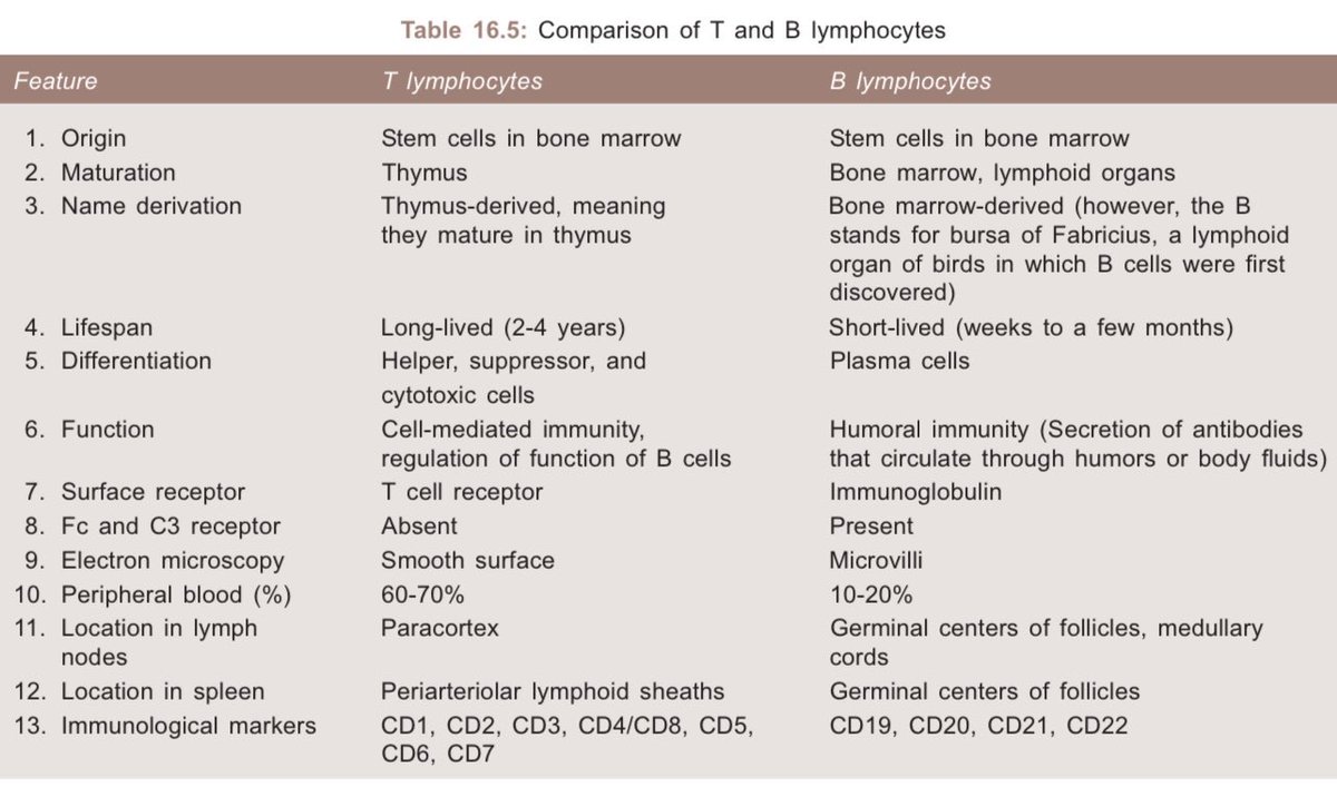 Immunology 🦠