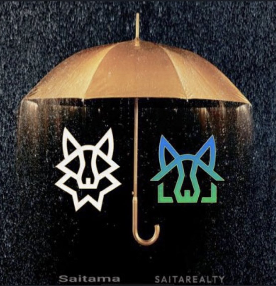 ShakaThaGod's tweet photo. Back to our regularly scheduled programming❤..... THE UMBRELLA 🐺#Saitama 🐺🏠#SaitaRealty https://t.co/k0x4mT1oWH