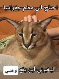 M.Jawad (@m_jawad_y) on Twitter photo 