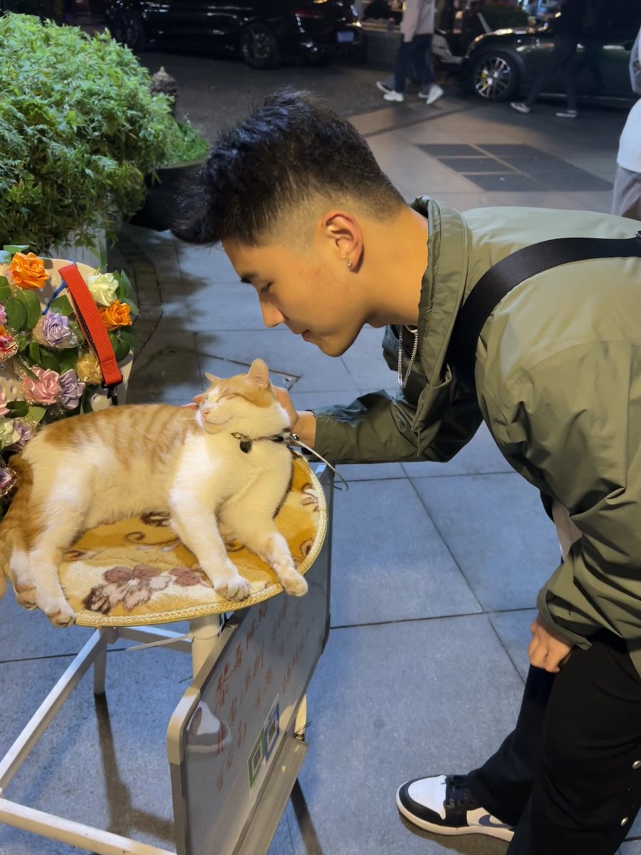 Cccheung_'s tweet photo. 🐱 https://t.co/m9JlU3a7kX