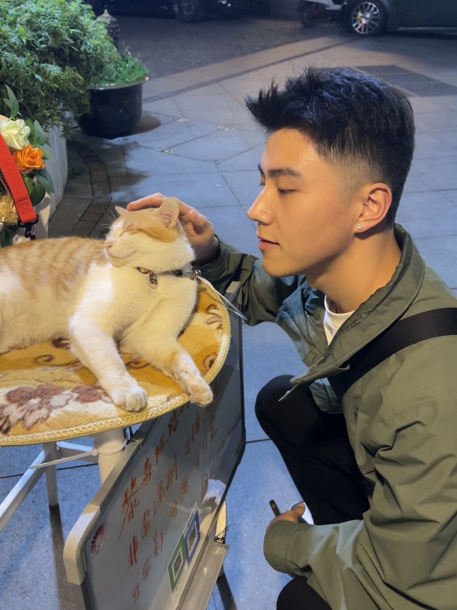 Cccheung_'s tweet photo. 🐱 https://t.co/m9JlU3a7kX