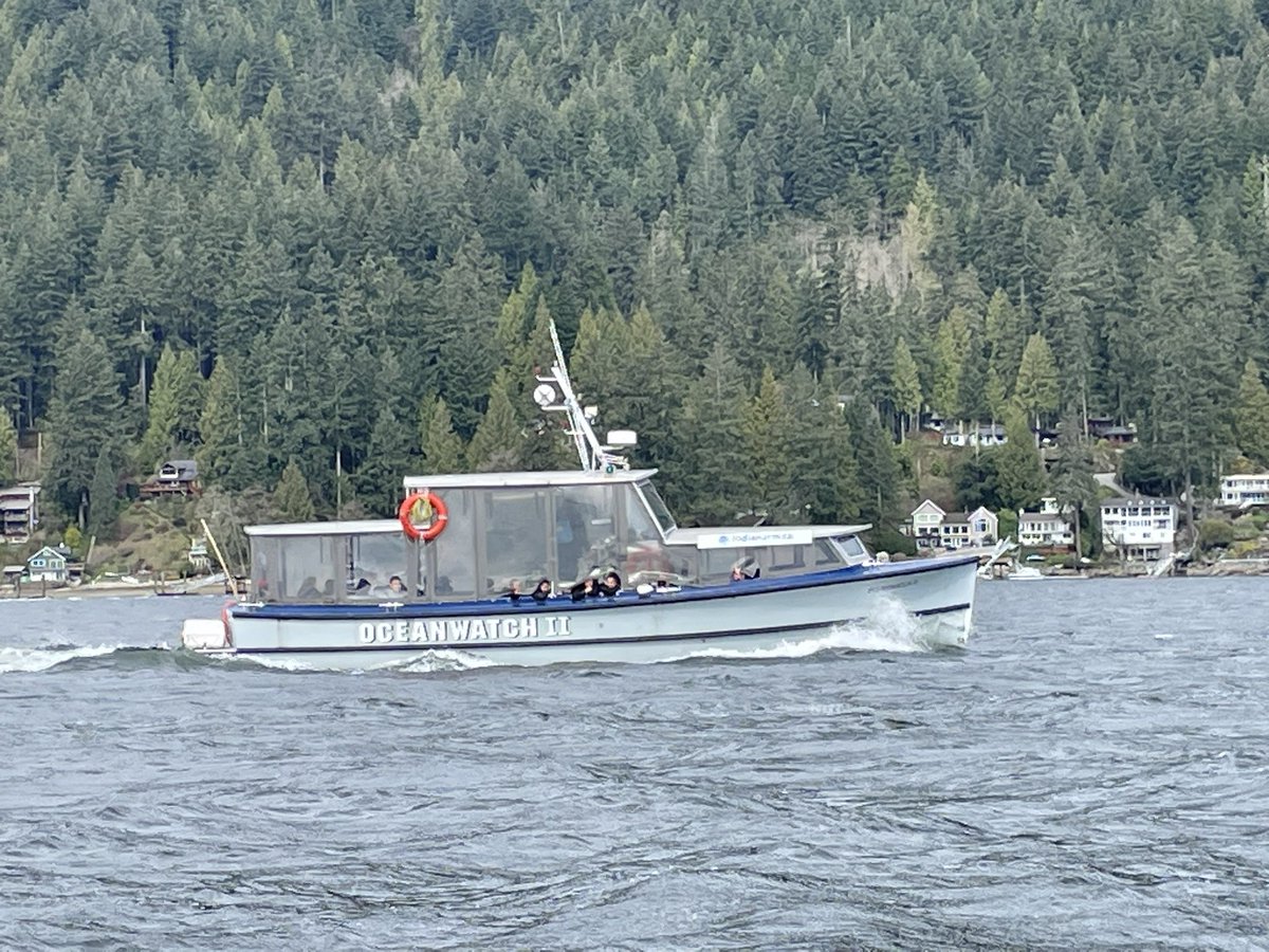 sbeairsto's tweet photo. And we are off!  Hanging out with the @maplelanerd38 grade 6/7s at @CampJubilee for the next 3 days.  So glad to be back to overnight outdoor ed! @RichmondSD38 https://t.co/rJrmow75LV