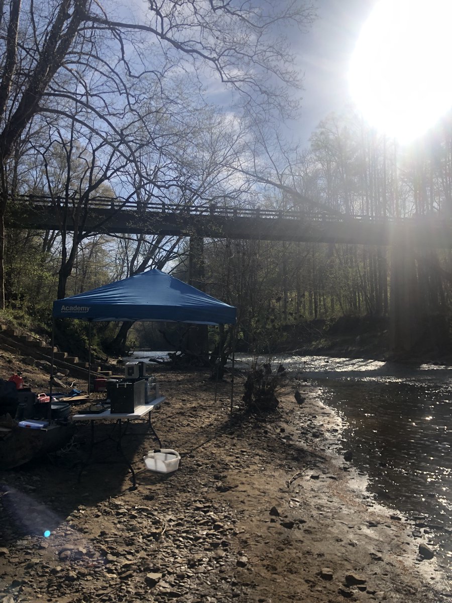 Britney_Firth's tweet photo. First week done conducting thermal tolerance on Eastern Sand Darter in the field. Plus a cool catch of a Mudpuppy! https://t.co/mgUa8RPQPG