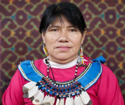 🇵🇪 #Perú Olinda Silvano: lideresa shipiba en peligro por amenazas de muerte → bit.ly/43JHnFQ
Desde hace un mes extorsionadores le exigen dos mil soles a cambio de no atentar contra su vida. Gobierno tomó conocimiento del caso y se comprometió a protegerla