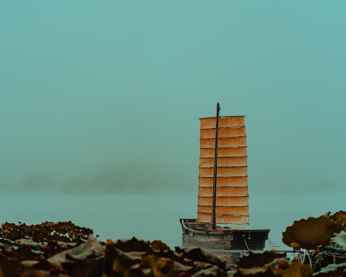 이른 아침, 두물머리. ⛵️