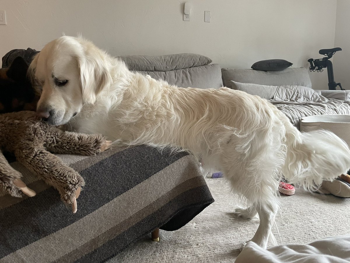 am too long for couch!!