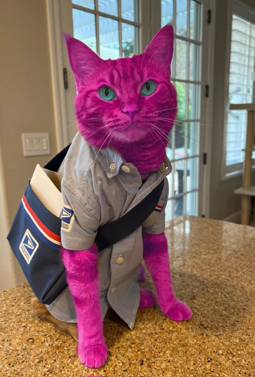 Hum_Pinky's tweet image. mail kitty   !!    gona deliver  touna to all  of   humtown    !!!