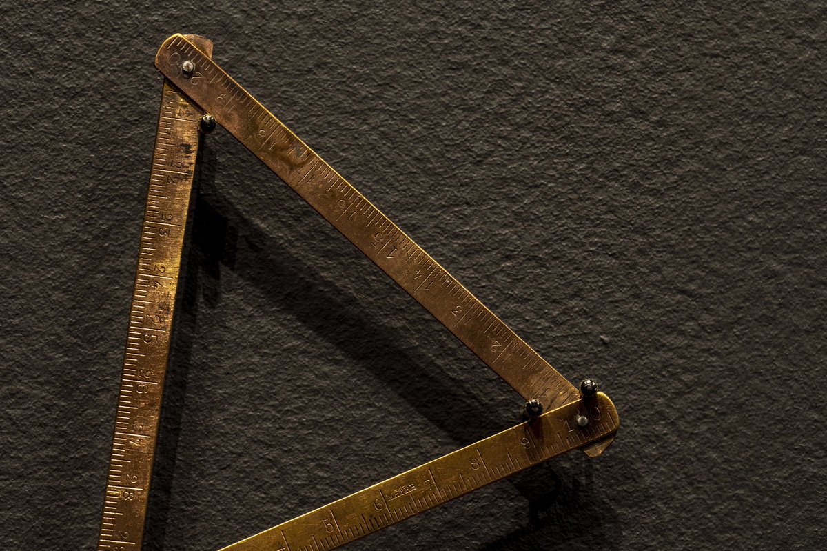 sara morawetz tweet media