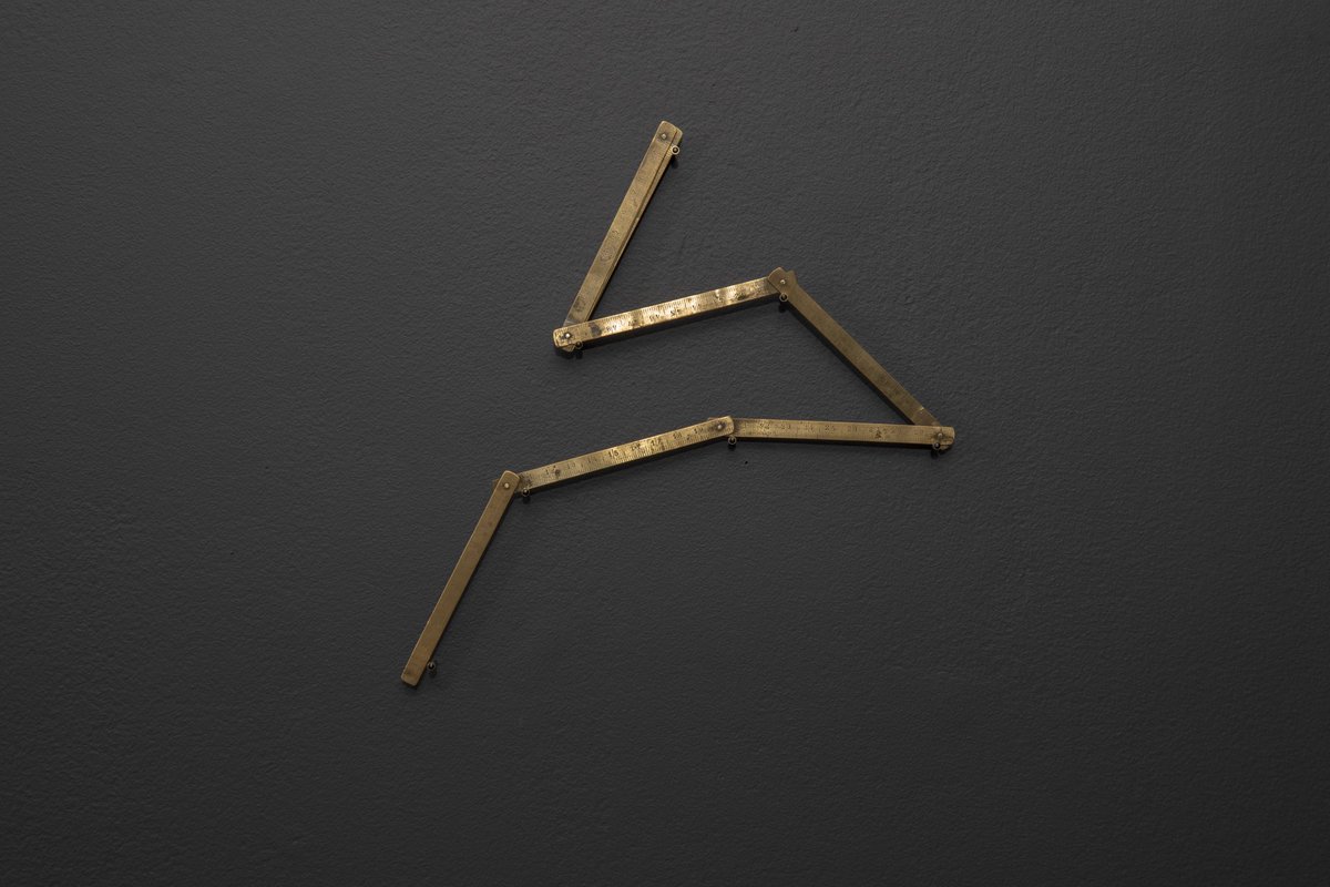 sara morawetz tweet media