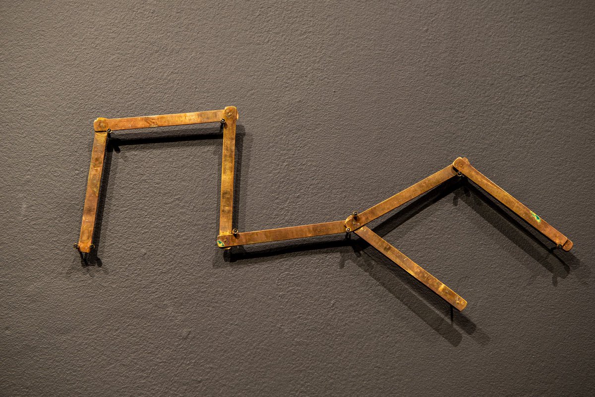 sara morawetz tweet media