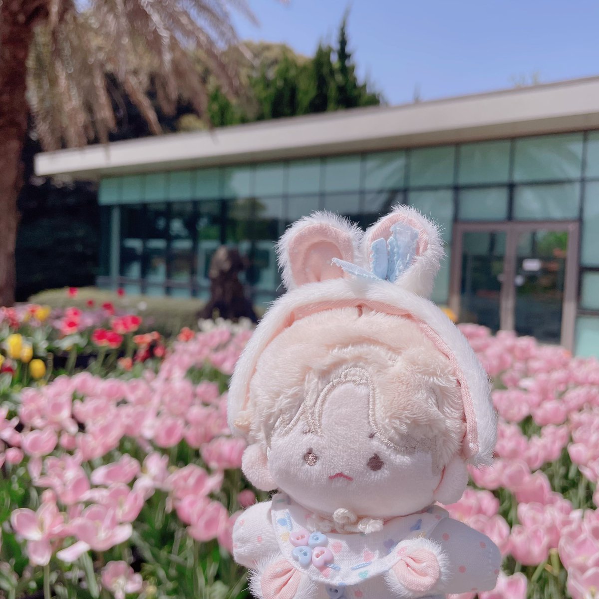 sunlight__83's tweet photo. 땡글이랑 어울리는 분홍 튤립도 잔뜩 보고 왔지(*˘︶˘*).｡.:*♡ https://t.co/kvdsSU3IBL