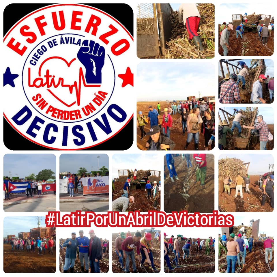 AnabelRamrezLp2's tweet photo. A la Patria manos y corazón, por un Primero de Mayo de victorias, trabaja el pueblo de Ciro Redondo. #LatirPorUnAbrilDeVictorias  #CiegodeAvila #PorCiroRedondoTodo https://t.co/cfAW4tMbnx