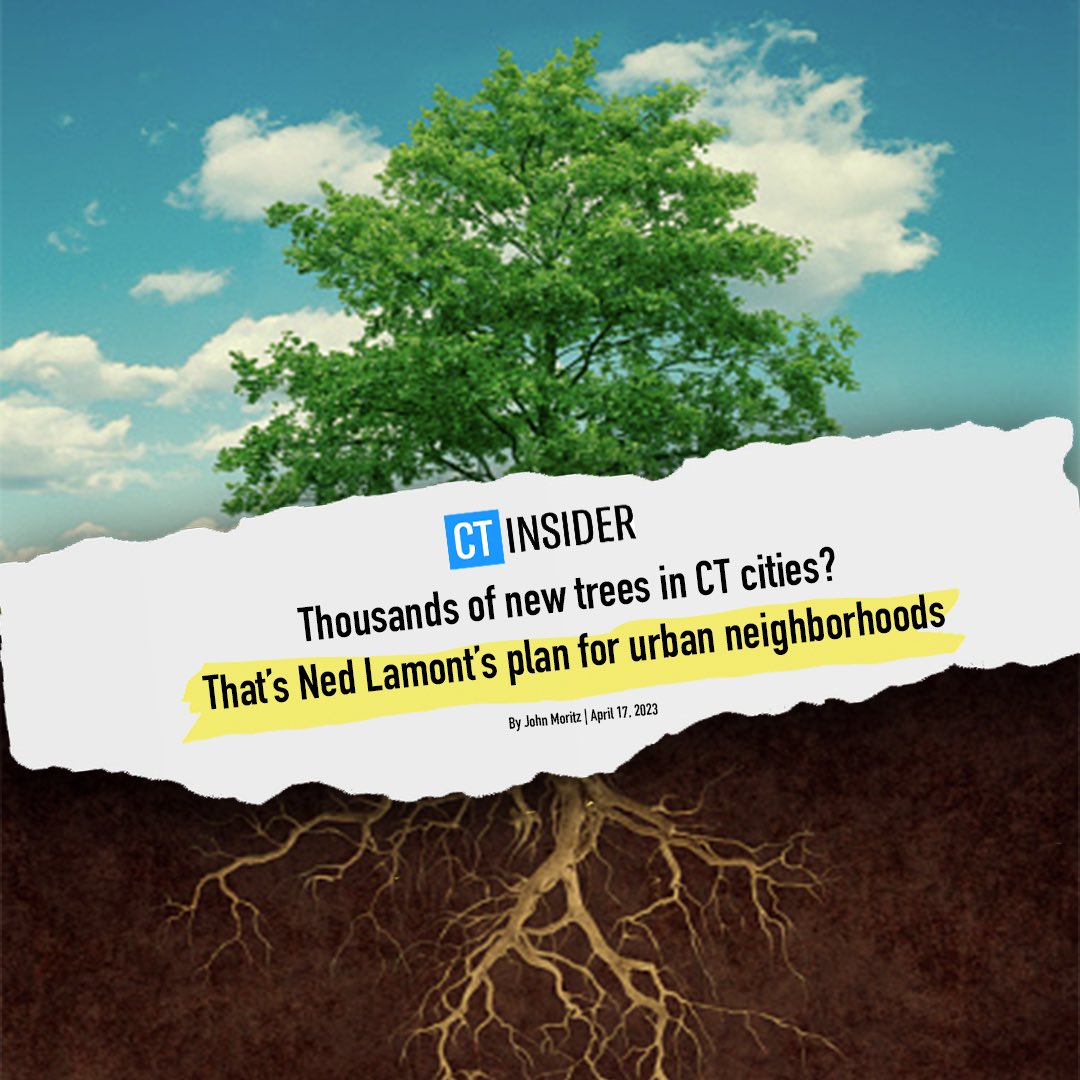 GovNedLamont's tweet photo. 🌳 Trees are more than just beautiful additions to our landscapes – they also play a critical role in combating climate change and improving air quality. https://t.co/367nadGO36