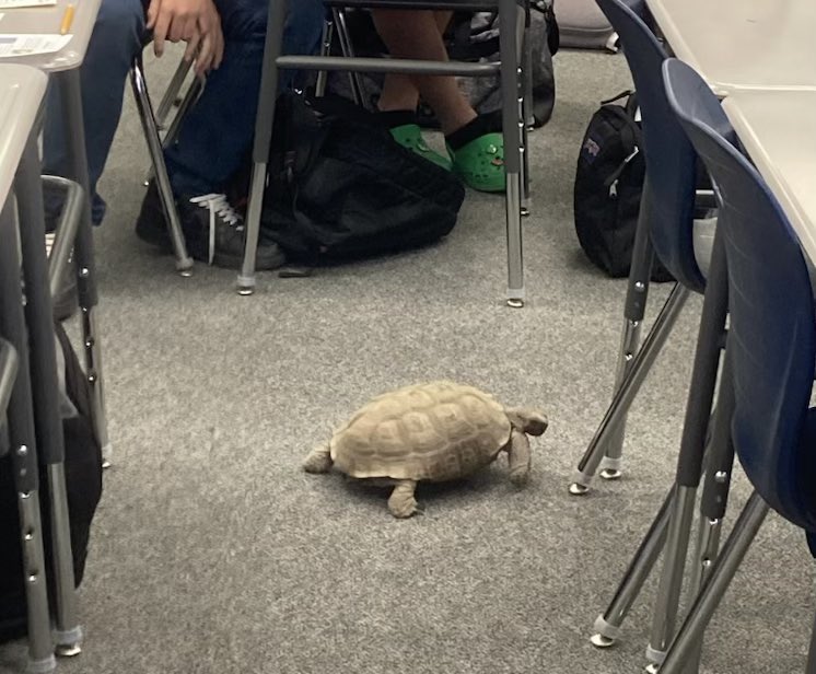 FORT IRWIN MIDDLE SCHOOL tweet media