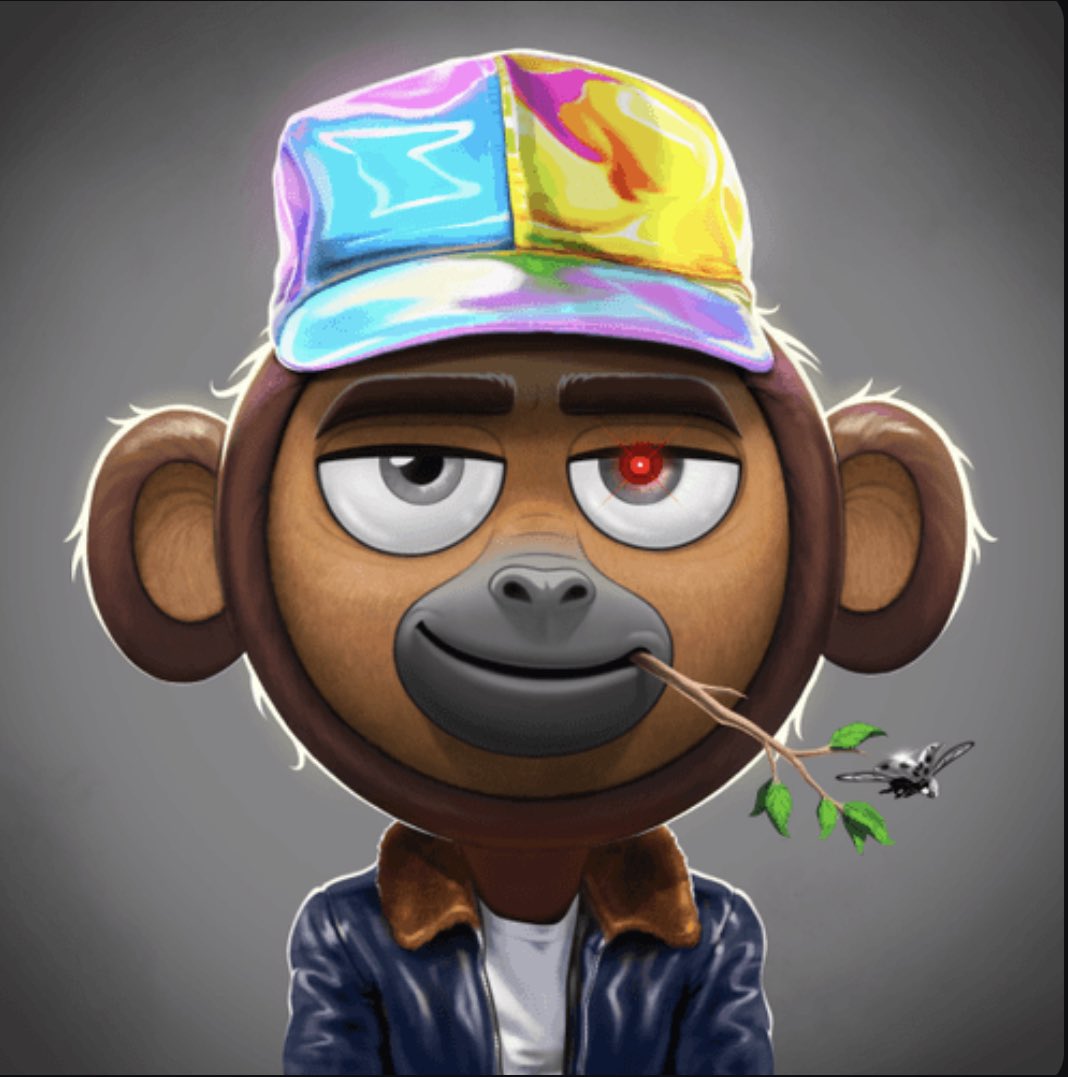 N3ON tweet media