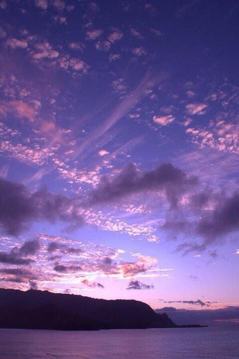 aestheticspost_'s tweet photo. purple skies https://t.co/xh1xUfJDmB