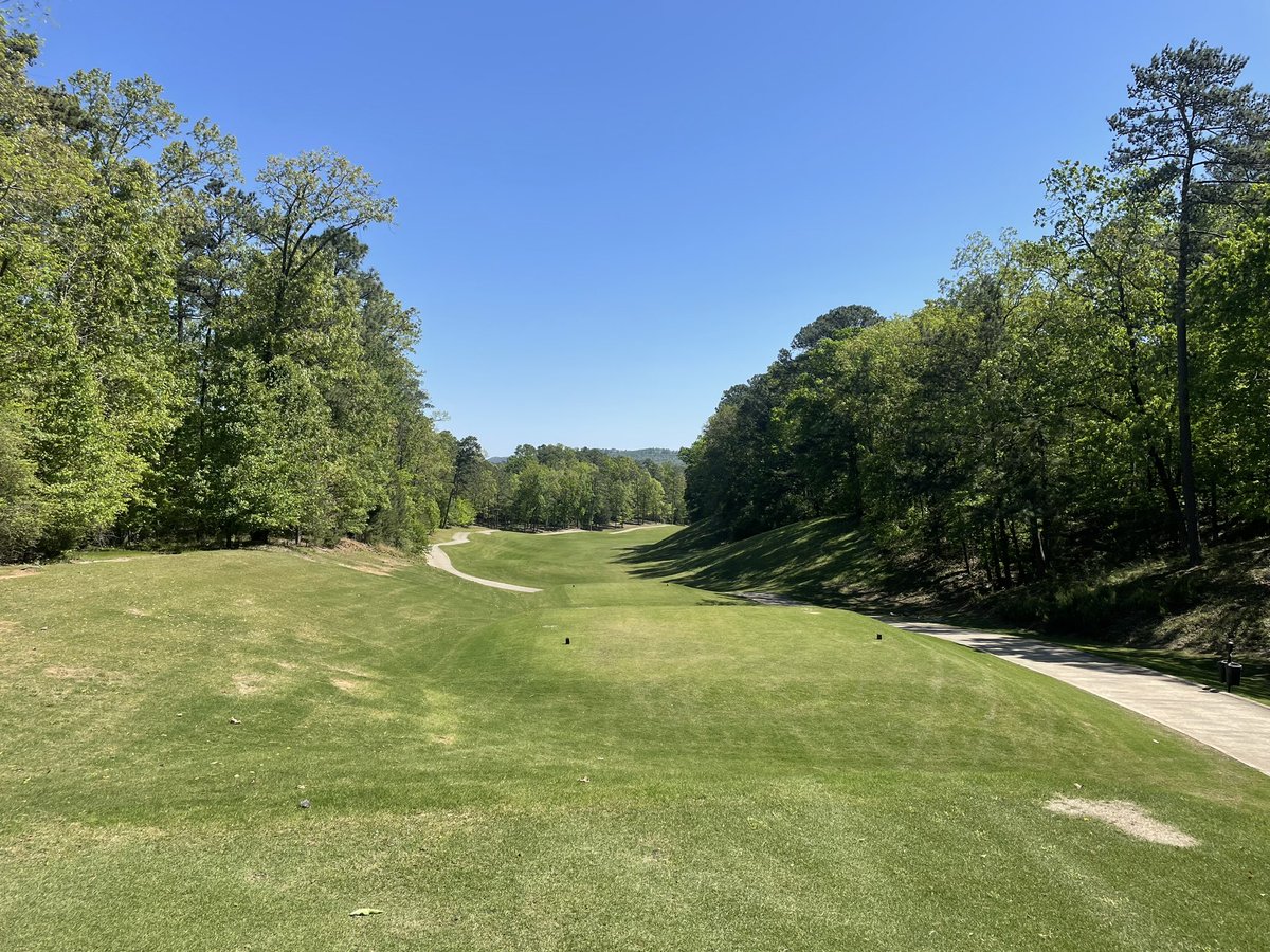 Tommy Hewitt tweet media