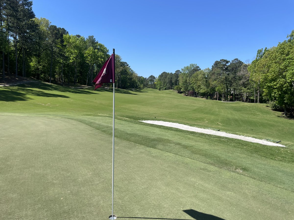 Tommy Hewitt tweet media