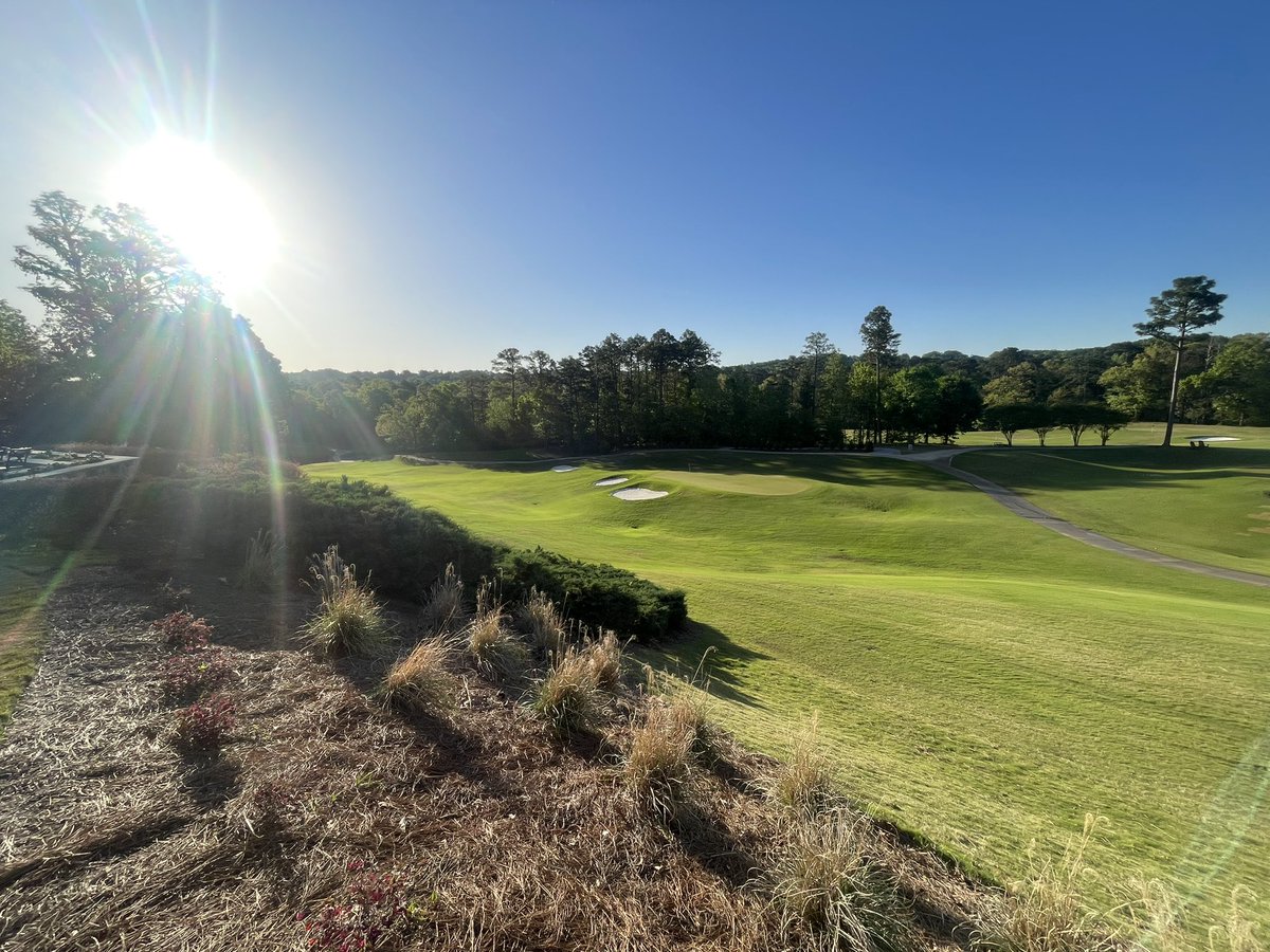 Tommy Hewitt tweet media