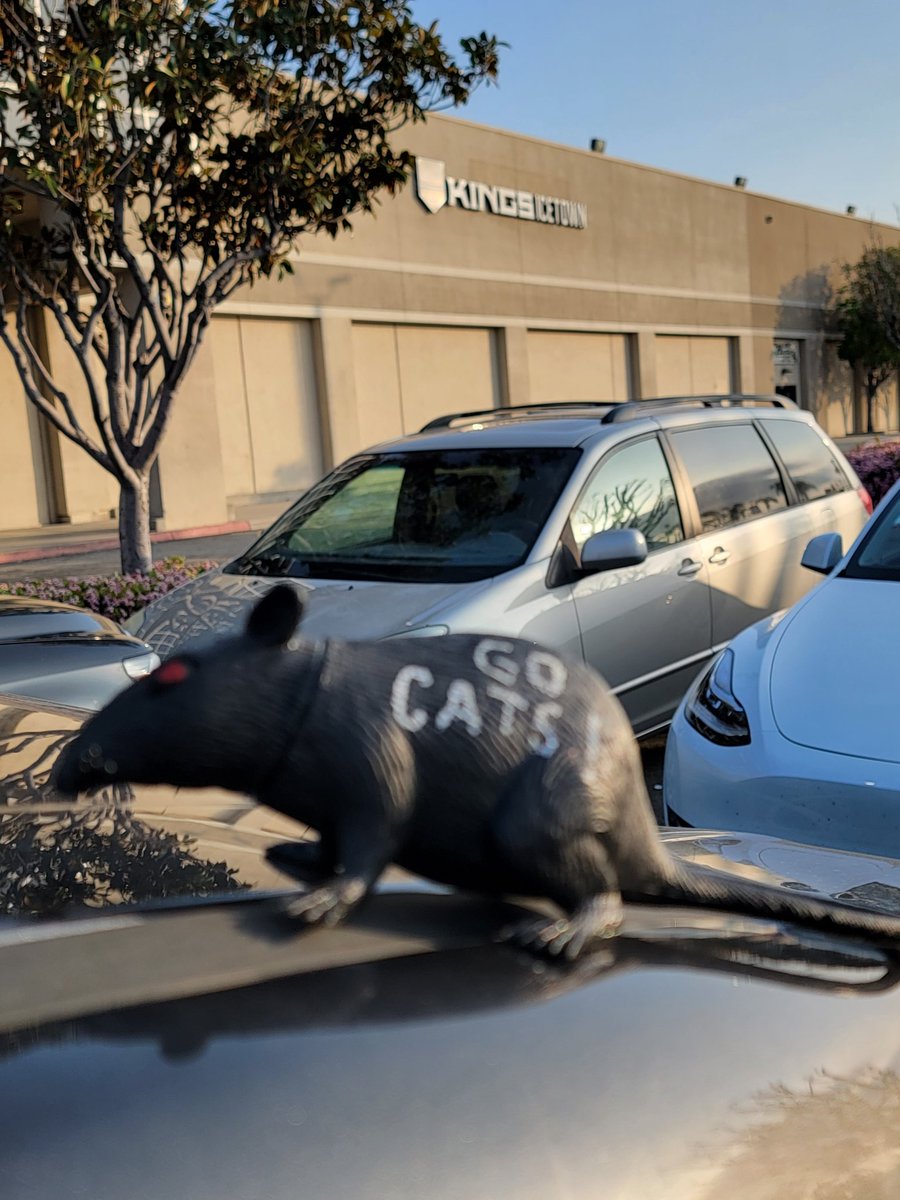 Rudedeck's tweet image. Decker from Eastvale (Calif) listening in on @SiriusXM channel 932. #WorldFamousTwitterSegment #TimeToHunt