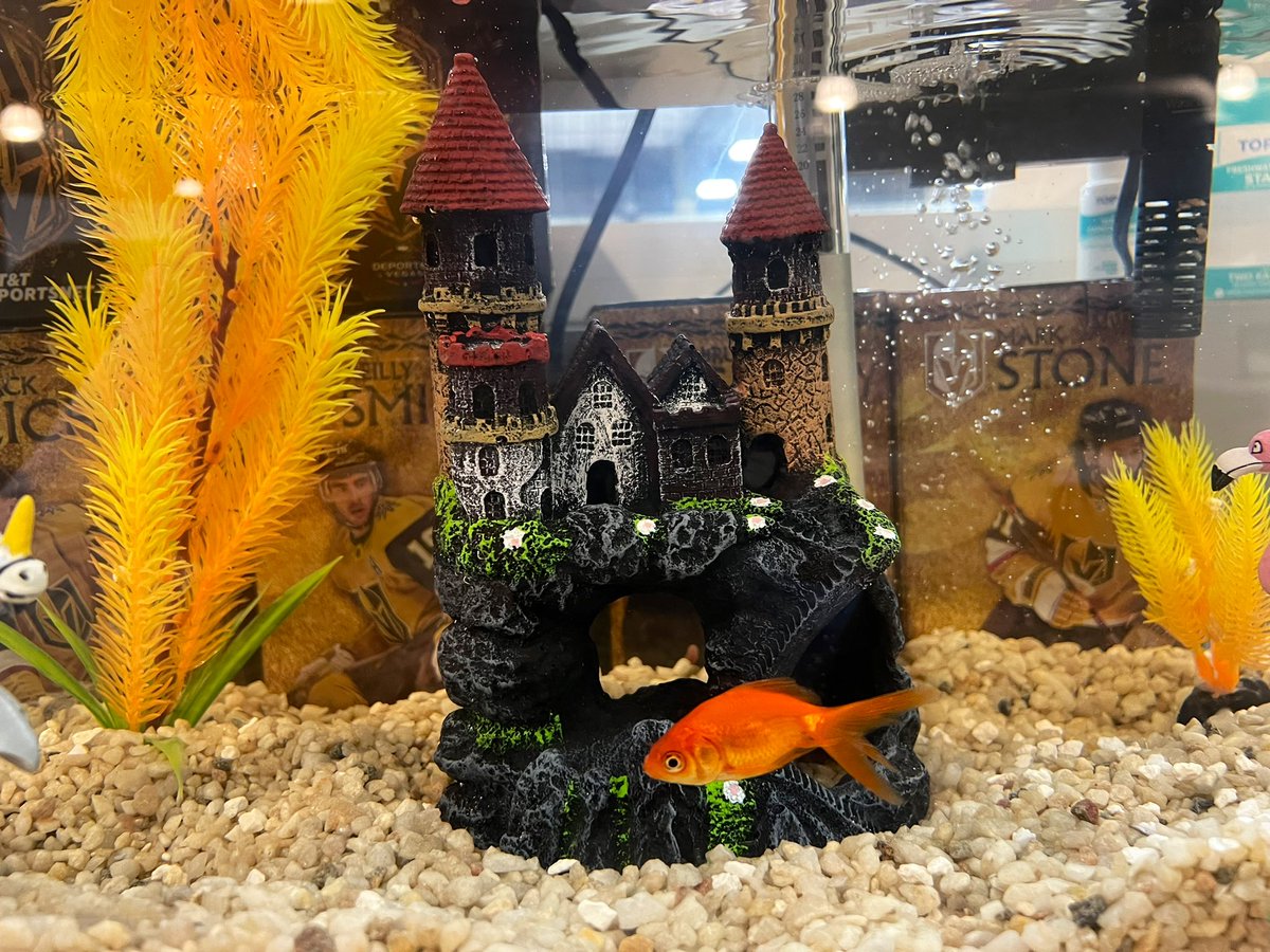 glub got my own fortress