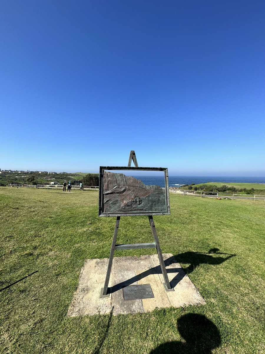 Joao Sol (@joaosol666) on Twitter photo 