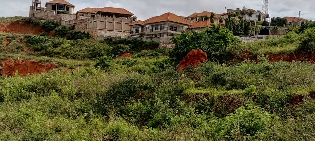 shukranproperty's tweet photo. BEAUTIFUL PLOT FOR SALE
#35decimals for sale location in Sseguku Katale Entebbe road private mailo land asking price #250m (negotiate)..call 0706592177 https://t.co/Azr1uyYwZX