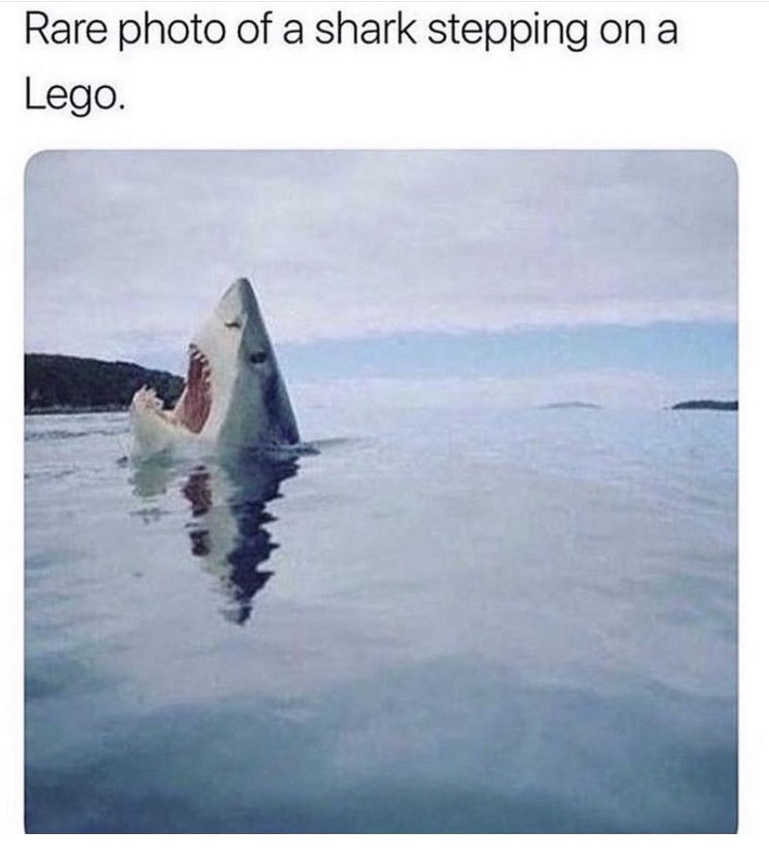 AhnaHendrix's tweet photo. Levity 😂🤣😂🙌🏽 https://t.co/oKnD7YR2so