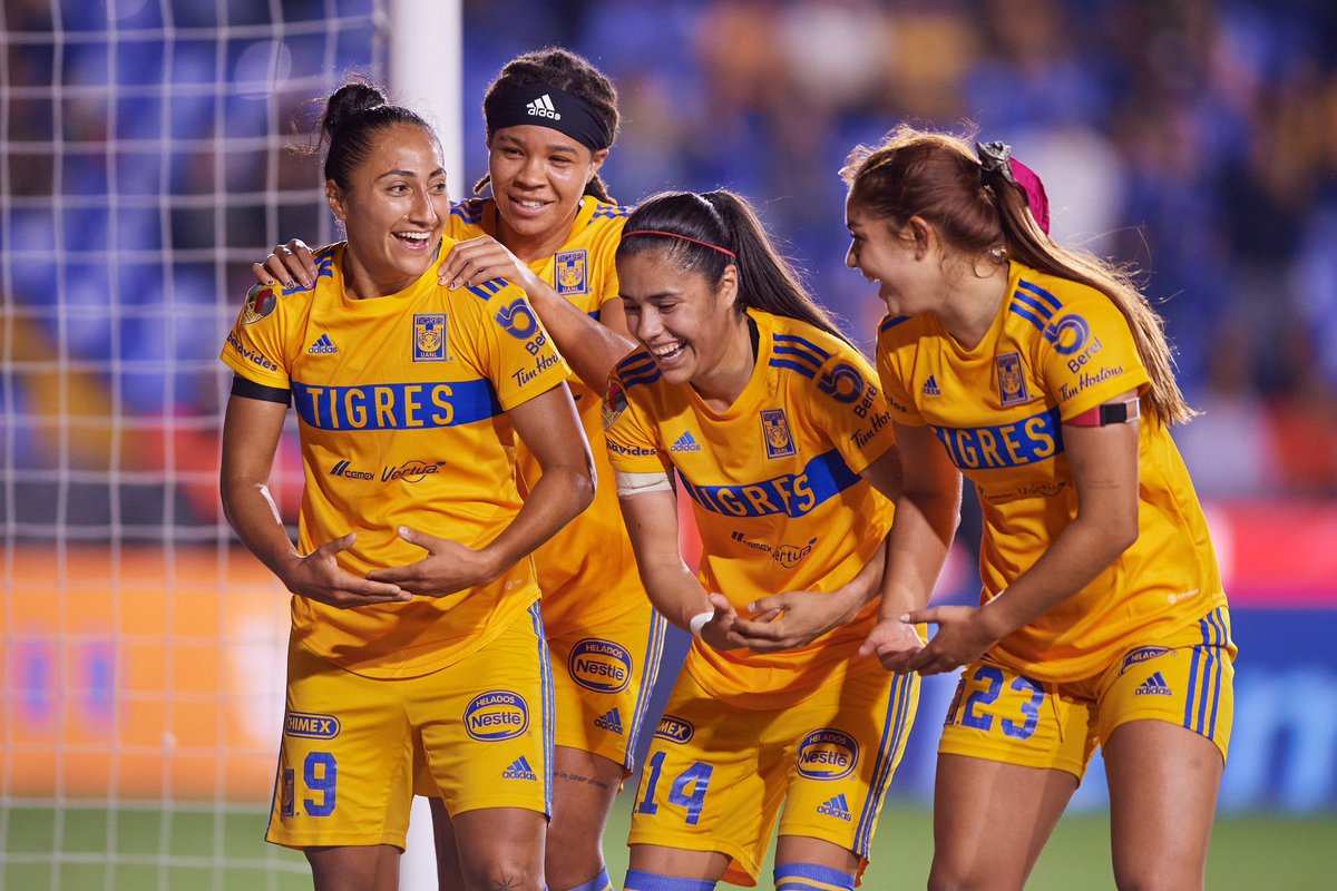 No estoy llorando, ustedes están llorando 🥹🐝🐝💛
