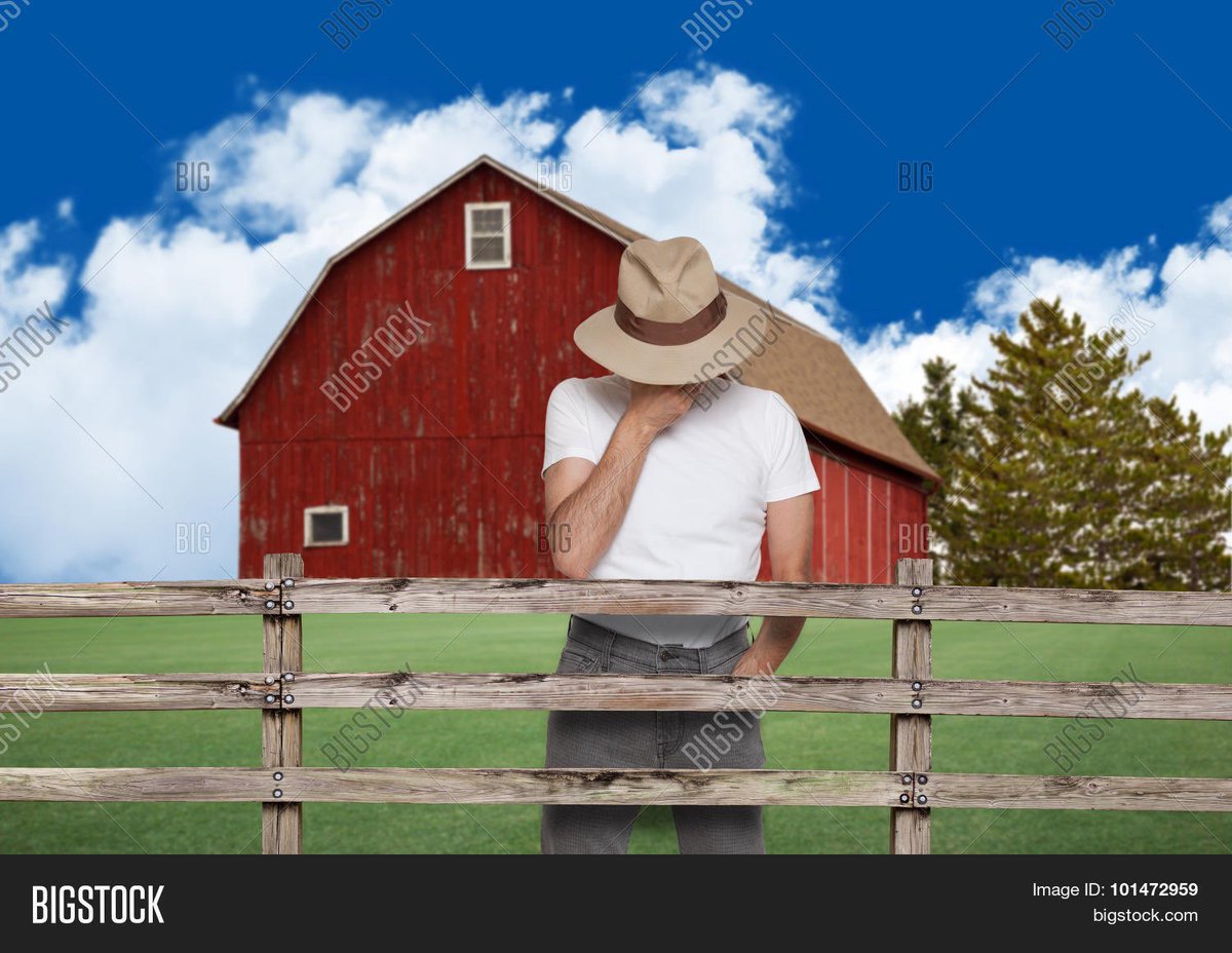 SensibleRalph's tweet image. I don’t want to talk about it. 
#Sanditon is the worst.
They don’t even have kale there.