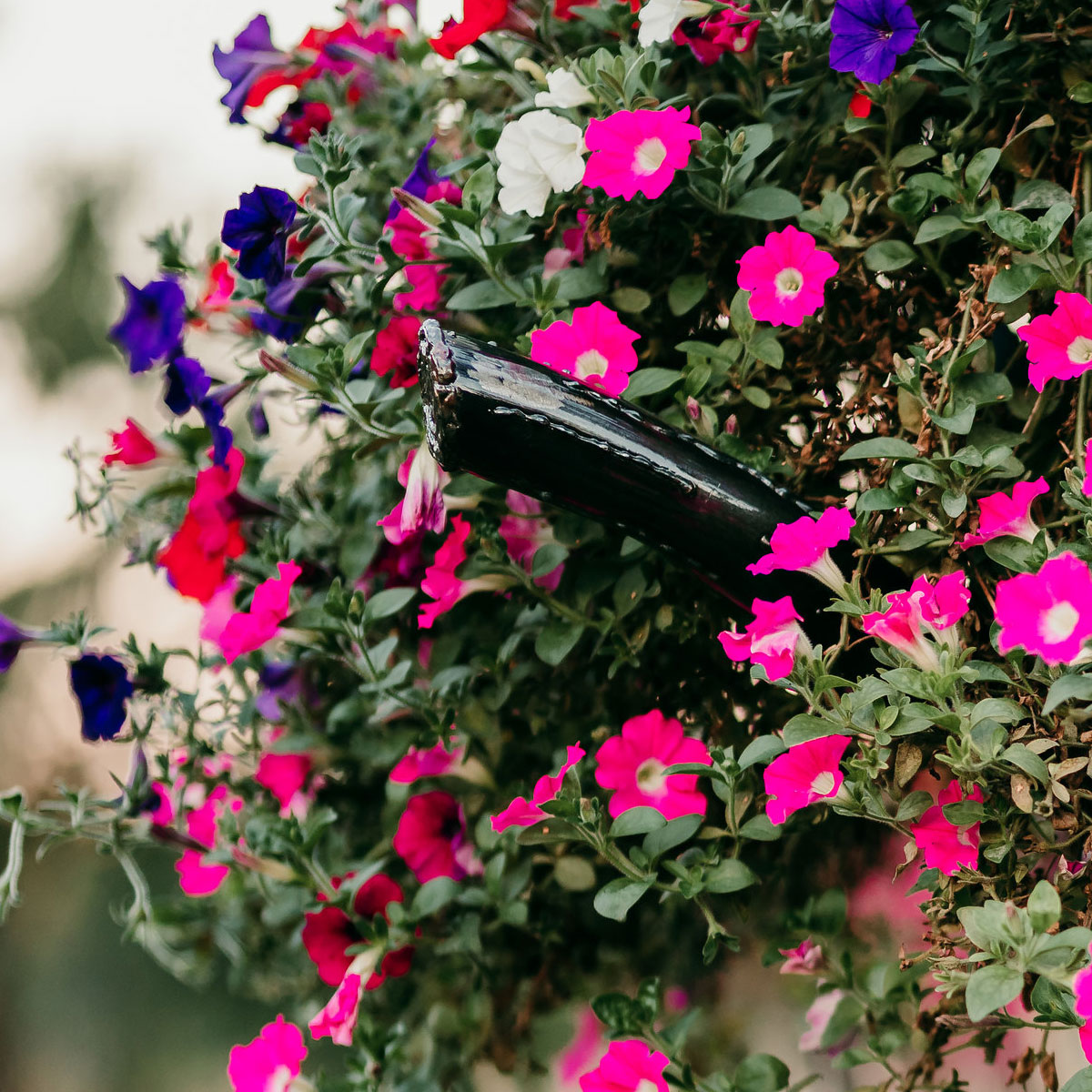 FioreTrees's tweet image. BOUNTIFUL. 🌼🌸❀✿🌷 It's your choice as to what you put in your #FioreTree. But the colors will blow your mind! #Italy #fiore #trees #homeimprovement