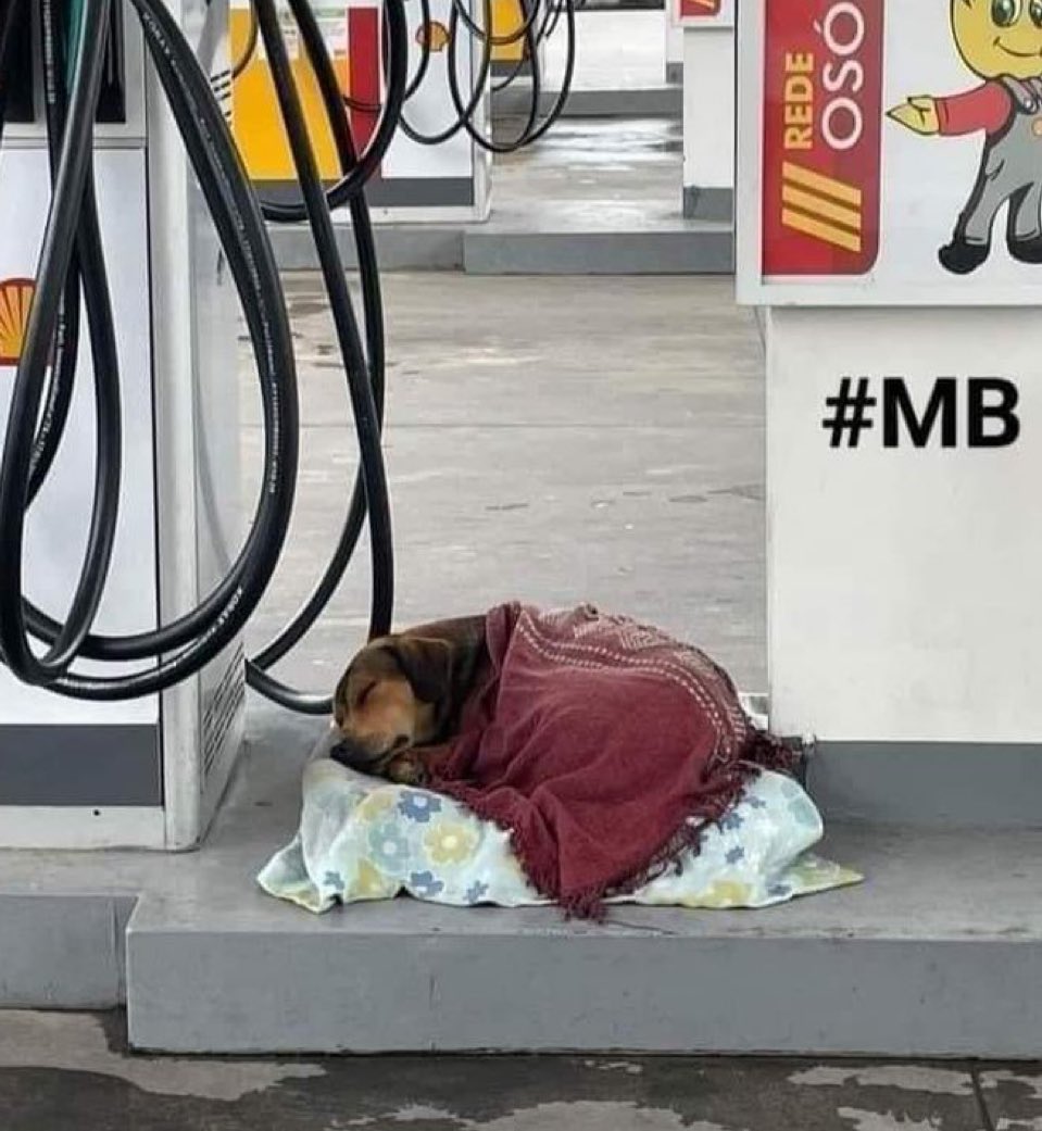 น้องๆ เก้าห้าเต็มถัง น้องครับ น้อง