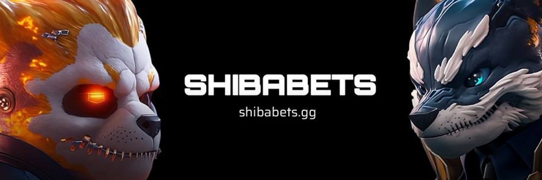 tarekksobhy's tweet photo. @shibabetsgg 
One Family
Our own casino
Our own token $BETS
#SBEngage #shibabets https://t.co/DuYYwr0wq5