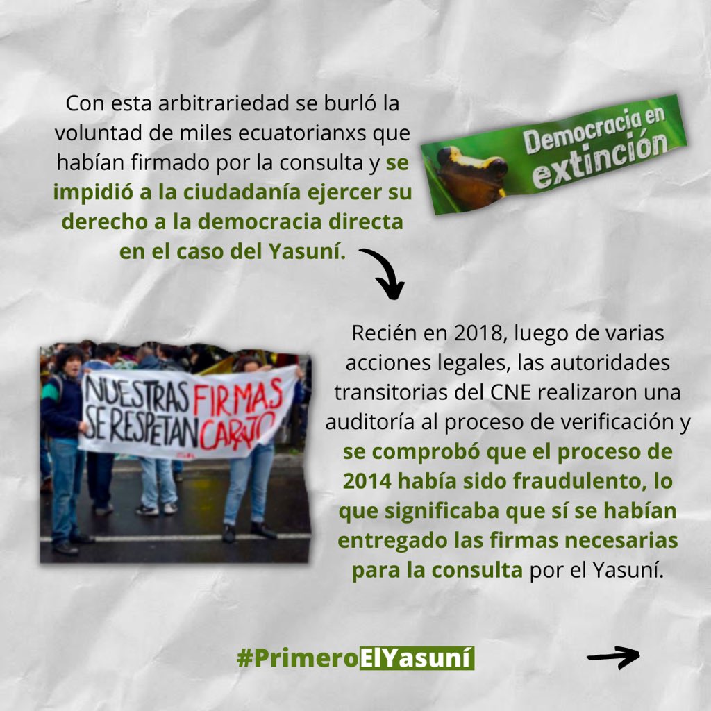 Yasunidos's tweet image. En el 2013 inició el proceso de consulta popular por el #Yasuní 🌱

 ¿Qué ha pasado todo este tiempo? 

#PrimeroElYasuní @CorteConstEcu 

Aquí un breve resumen ⬇️