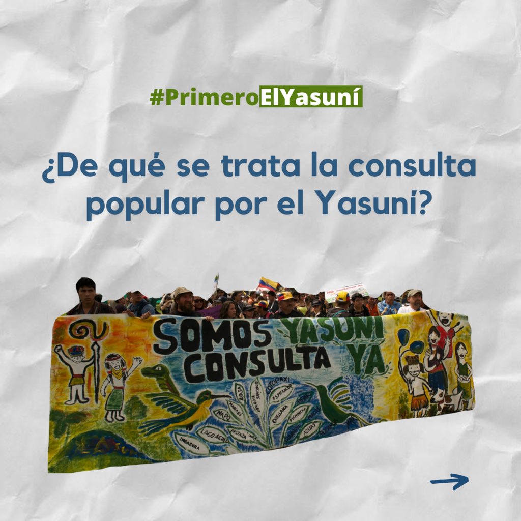 Yasunidos's tweet image. En el 2013 inició el proceso de consulta popular por el #Yasuní 🌱

 ¿Qué ha pasado todo este tiempo? 

#PrimeroElYasuní @CorteConstEcu 

Aquí un breve resumen ⬇️