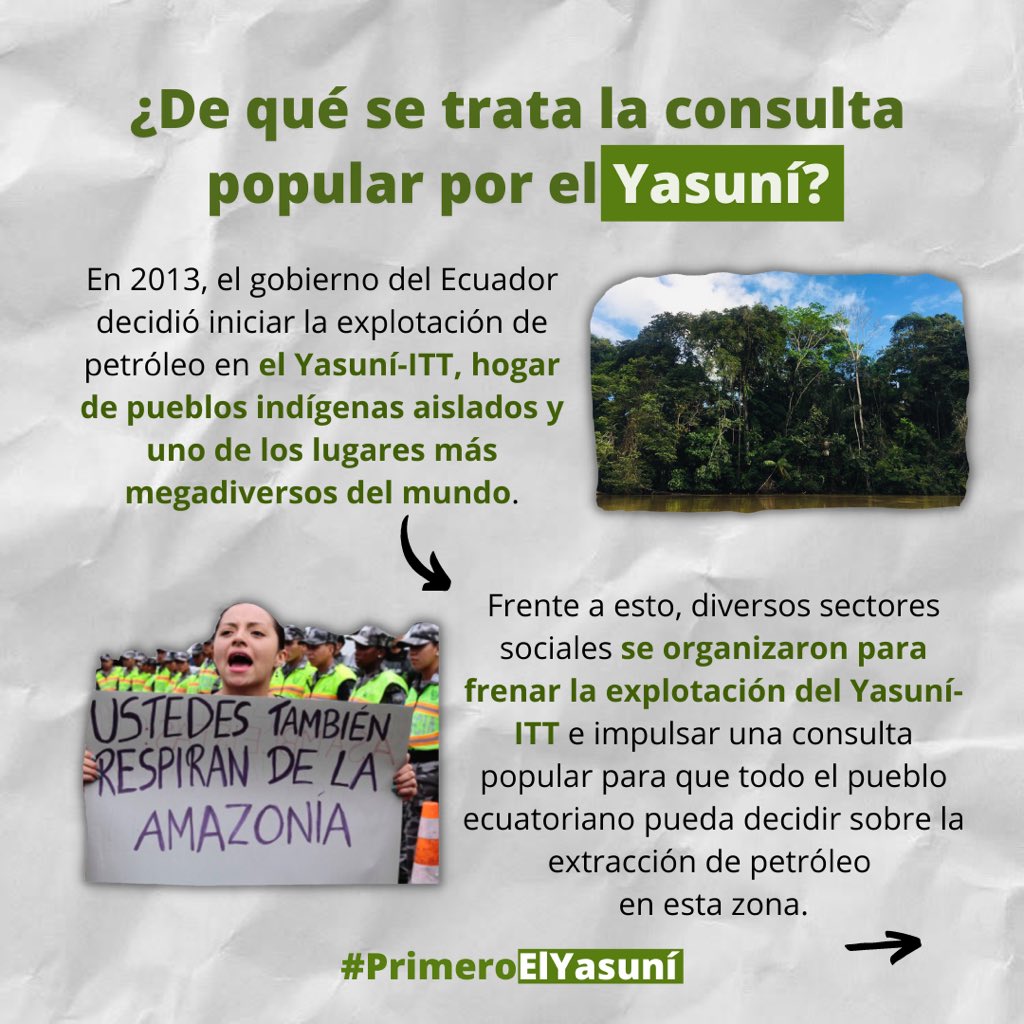 Yasunidos's tweet image. En el 2013 inició el proceso de consulta popular por el #Yasuní 🌱

 ¿Qué ha pasado todo este tiempo? 

#PrimeroElYasuní @CorteConstEcu 

Aquí un breve resumen ⬇️