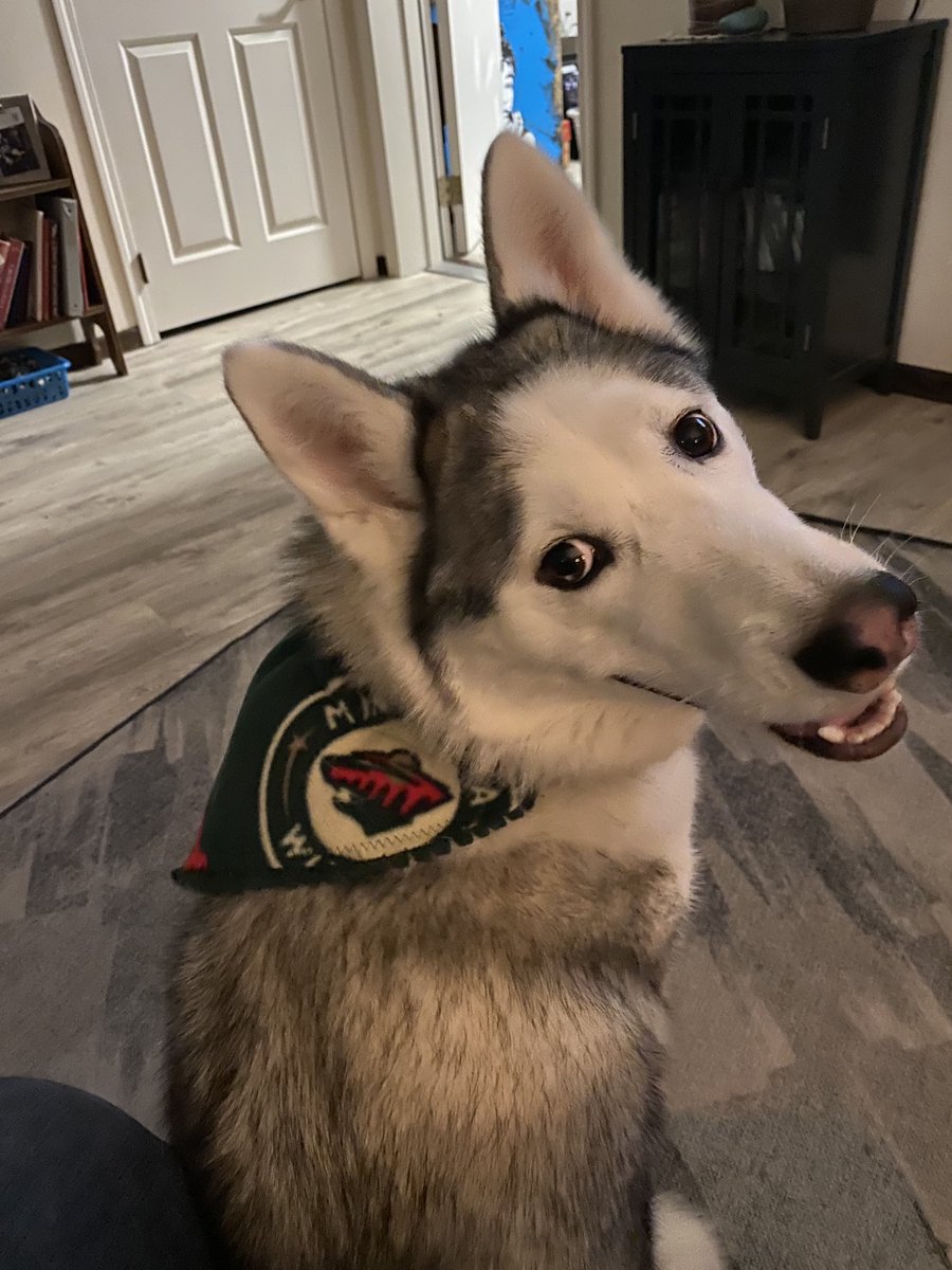 Go Wild! ⁦<a href="/mnwild/">x - Minnesota Wild</a>⁩