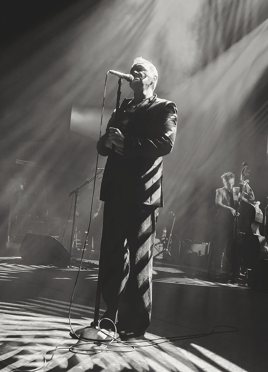Please, please, please let me get what I want 💖
in Antwerp 

#Morrissey #Morrisseytour2023