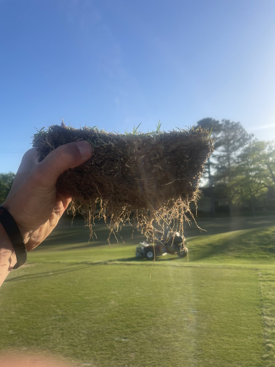 Mistadub7's tweet image. Aerification day was a success!

 New Tees ✅ Greens ✅ Fairways ✅  #CGCC