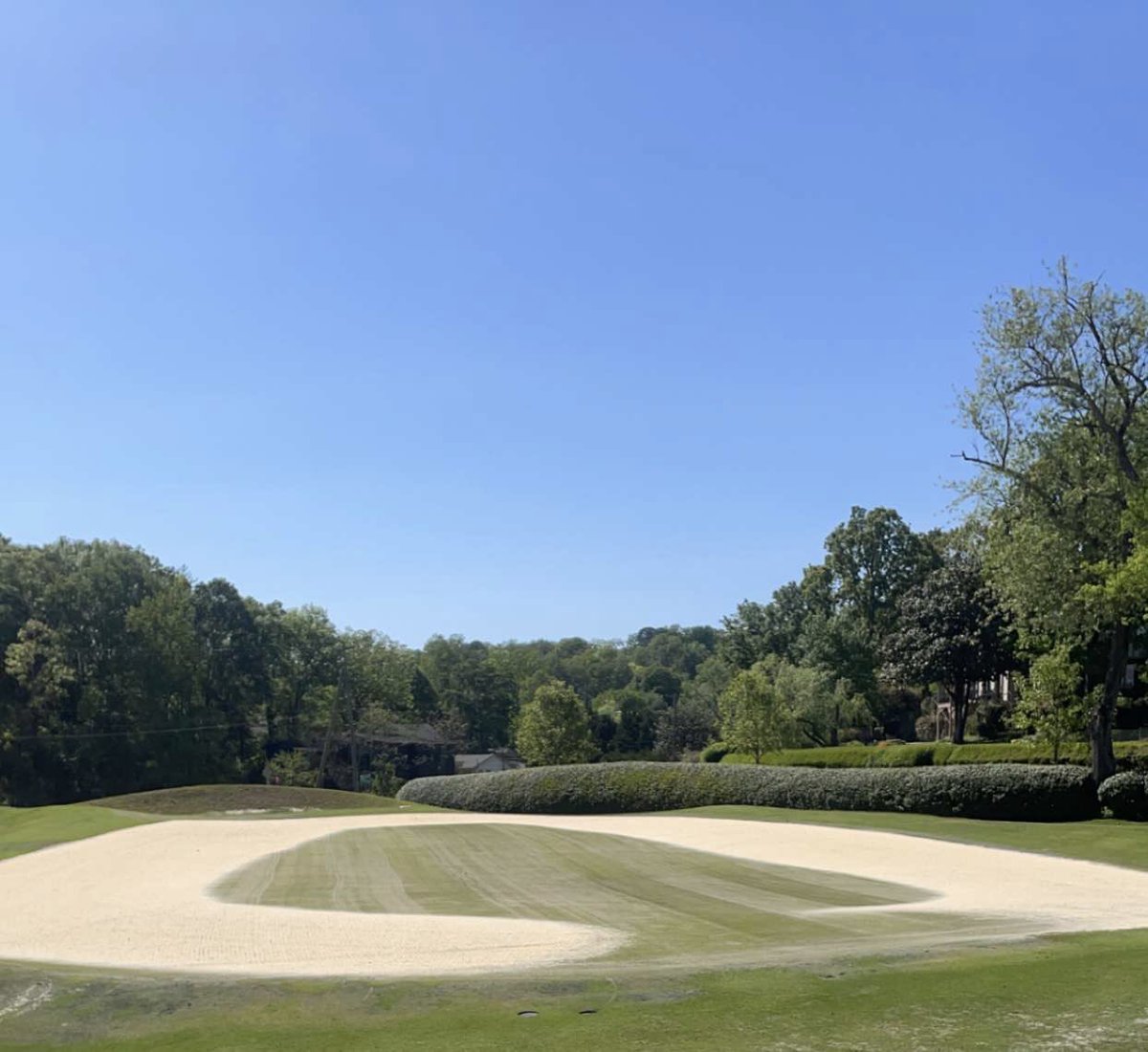 Mistadub7's tweet image. Aerification day was a success!

 New Tees ✅ Greens ✅ Fairways ✅  #CGCC