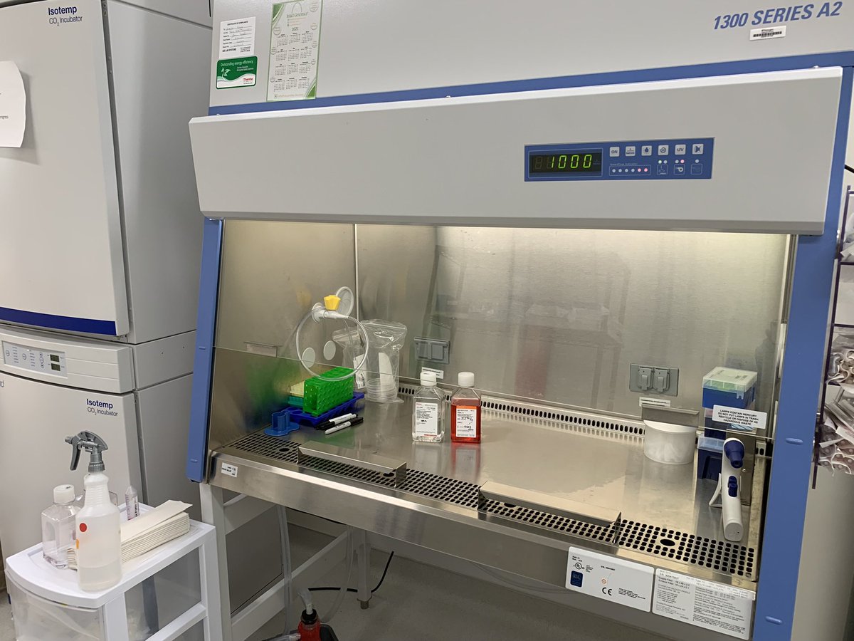 nieminm's tweet photo. Our hood has a fun (depressing?) feature of tracking hours spent doing tissue culture. I guess it’s only fitting for me to pass the 1000th hr (=41.67 days) of TC in the first Niemi lab hood. #PIinthelab https://t.co/nWqTbP7x03