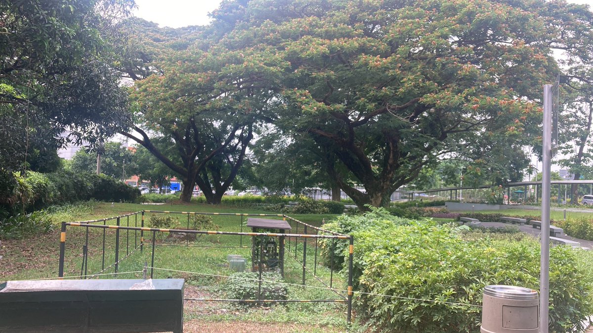 pab11ona's tweet image. I love #technohub so much!