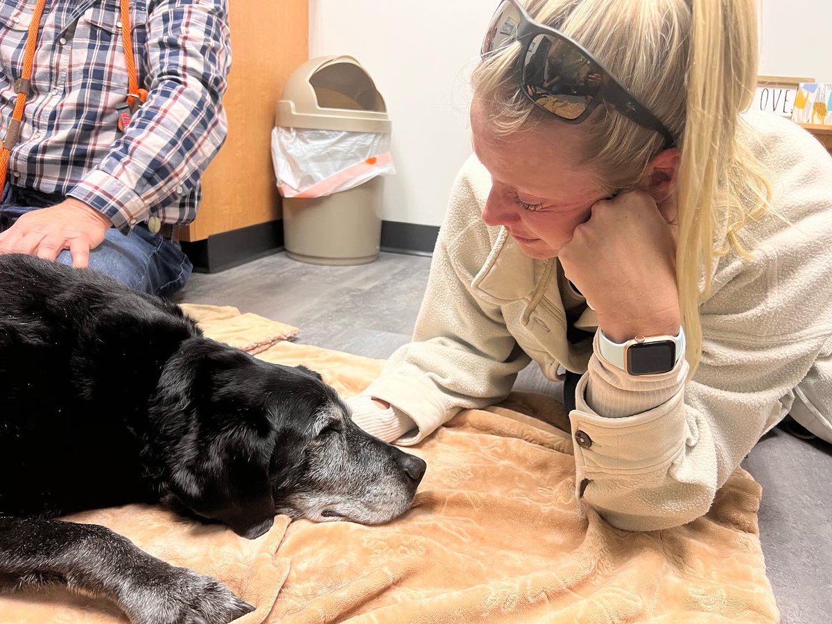 Joe Thomas tweet media