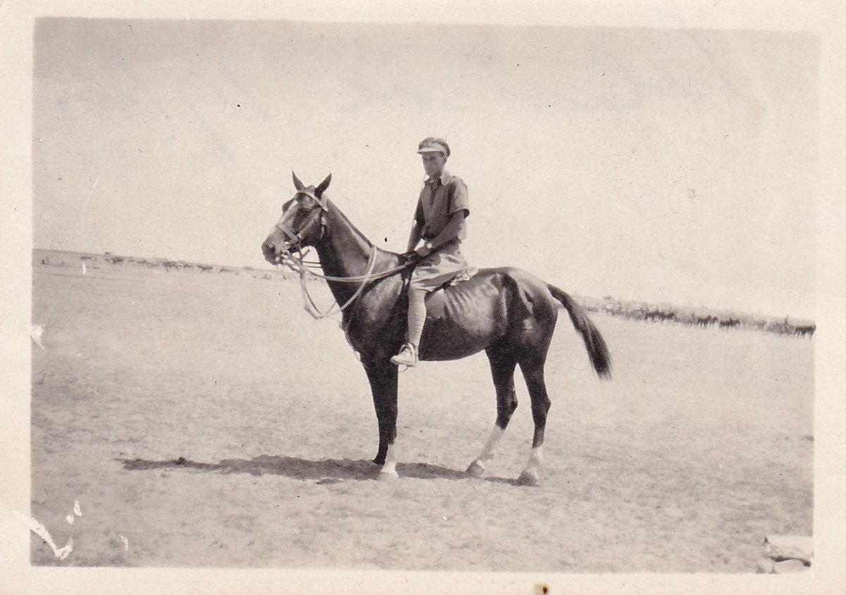 ChestermereF's tweet photo. Join CHF as we hear an all new program by Samantha Lemna of Chestermere, on 'Horses and Mules in WW1' 2pm at 201 W Chestermere Drive, Whitecapper's 50+ Centre. FREE! https://t.co/ajMNQqgYpf https://t.co/GKK6RVqVpE