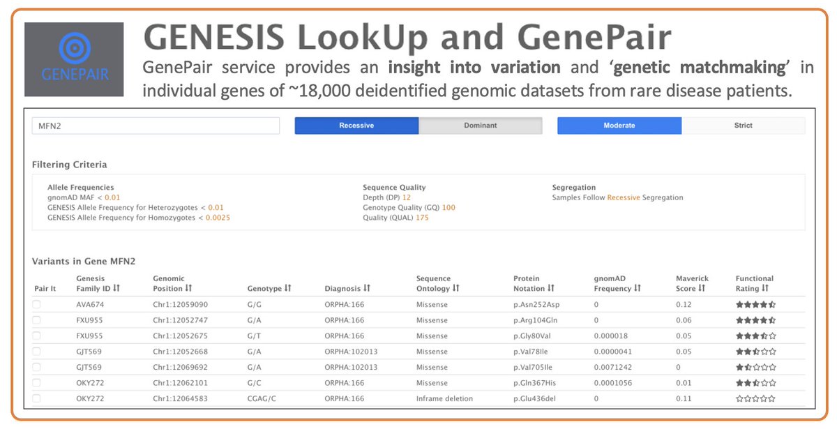 GenePair is here! Genetic matchmaking in Mendelian disease research.
app.tgp-foundation.org/genepair
The open GENESIS gene LookUp and GenePair service provides an insight into variation in individual genes of ~18,000 genomic datasets from rare disease patients.