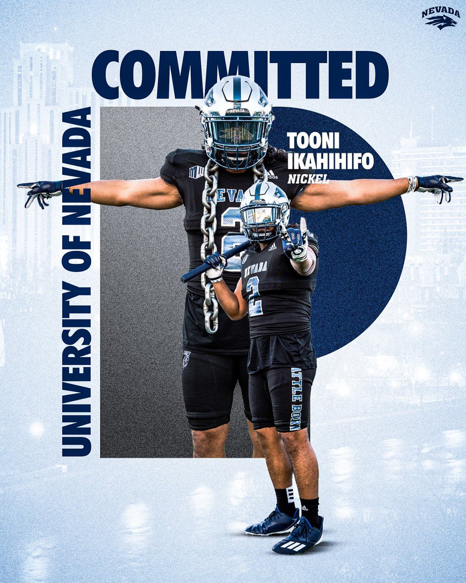 Toon 🇹🇴🌴 tweet media